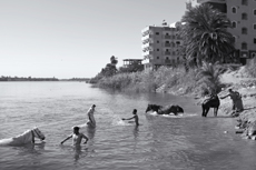 En las orillas del Nilo